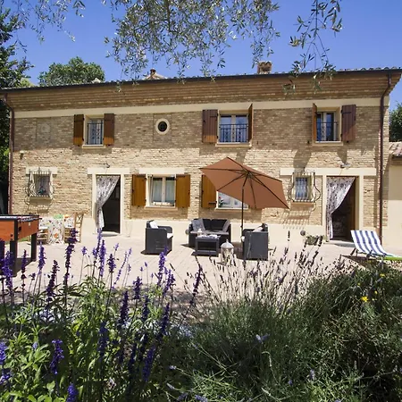 In Near Adriatic Sea *